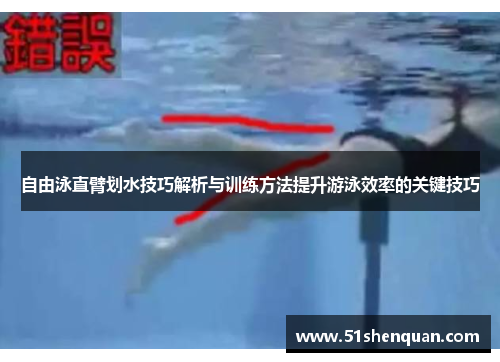 自由泳直臂划水技巧解析与训练方法提升游泳效率的关键技巧